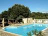 The Swimming pool