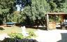 the lovely treeshaded garden