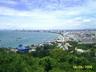 Pattaya's panorama