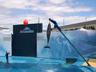 Zoomarine - swim with the dolphins !