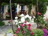 Skiathos old port and tavernas