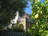 The Villa