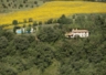 Villa Rosaspina surrounded by its pool,sunflowers,olive & oak trees