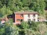 frontal view