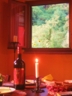 view fromdining table