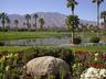 Click to enlarge 2br 2ba desert princess condo in Palm Springs,California