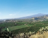 view of the estate from the hill