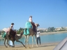 Camel Riding