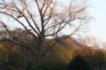 arthurs seat from the drawing room