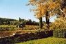 the October colours , Pegaso sculpture at the vineyards