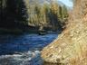 On the Bull River - Trout Fishing