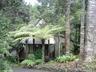 Click to enlarge Rainforest Cottage near Auckland City in Auckland,Waitakere Ranges