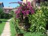 The lush tropical gardens surrounding the villa