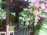 The veranda