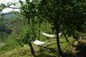 Guests love to relax in the hammocks