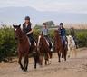 Horse riding in the beautiful Spanish countryside