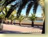 Palm lined promenade with cafes and bars