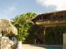 Click to enlarge Beachfront apartments / Dominican Republic / Sosua in Sosua,Puerto Plata
