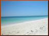 Beach on Grand Bahama