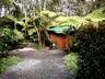 Click to enlarge Rainforest setting, 5 minutes from Volcanoes National Park in Volcano,Hawaii