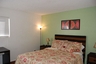 Master bedroom with private bath, walk in closet, Tv and dressor