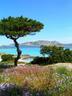 The Asinara Island in front of Pelosa beach