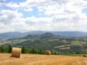 View of Todi and Martani mountains from the property
