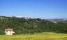 Villa L'Arco with its own sunflowers fields,vines,pool,oak wood