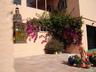 Moroccan Terrace, ideal for afternoon shade