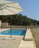 View of the olive grove from your pool