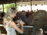 Elephant Orphanage