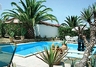The palm garden around the pool