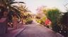 The Tree Lined Driveway.