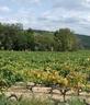 View from the Mas of the Cotes de Provence