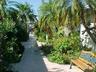 Enjoy Our Lush Tropical Courtyard