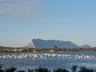 Pink flamencos in the pond. Isle of Tavolara at distance.