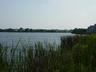 View of lake from pool