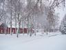 winter in Saksala