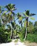 Beach road to Casuarina bay