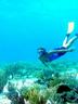 Snorkeling off Eleuthera