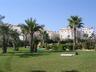 The beautiful pool garden area in Gran Alacant