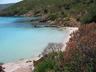 Asinara Island