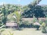 benches are nestled among trees and plants