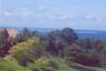 Buccoo reef from the terrace